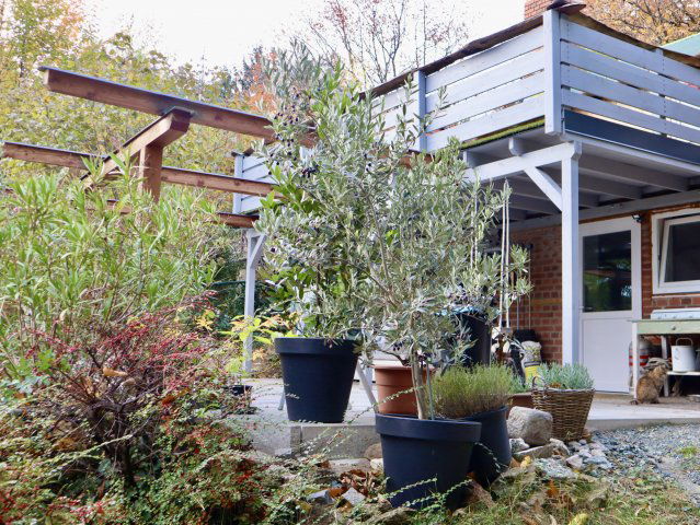 Eladó családi ház, Kőszegen 69 M Ft, 3 szobás