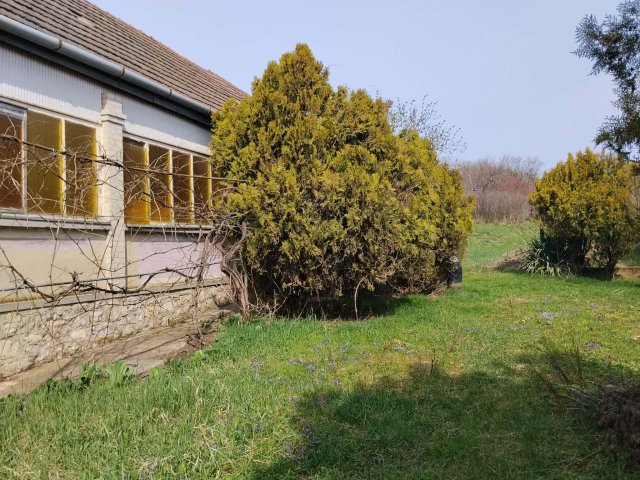 Eladó családi ház, Erdőkürtön 13 M Ft, 2 szobás