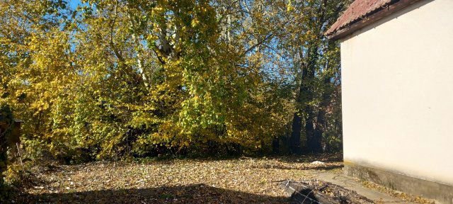 Eladó családi ház, Tiszacsegén 17.5 M Ft, 2 szobás