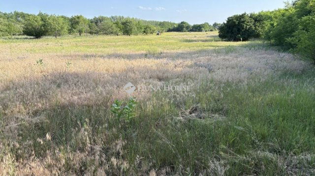 Eladó telek, Kókán 15 M Ft / költözzbe.hu