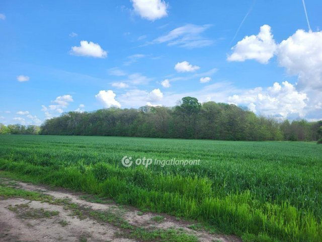 Eladó családi ház, Zsámbokon 21.4 M Ft, 1+3 szobás