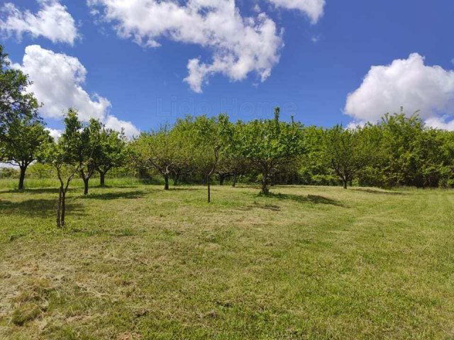 Eladó mezogazdasagi ingatlan, Zalaszentgróton 12 M Ft