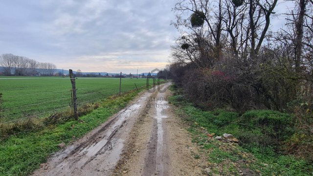 Eladó telek, Halimbán 4.7 M Ft / költözzbe.hu