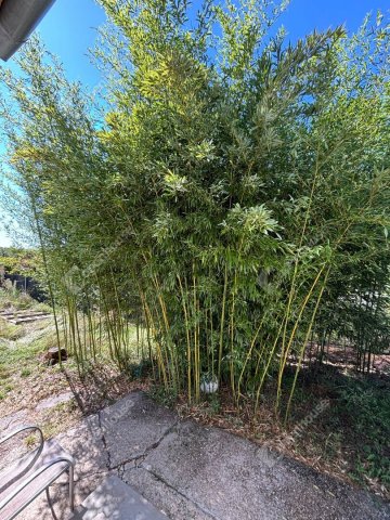 Eladó családi ház, Győrött 68 M Ft, 5 szobás