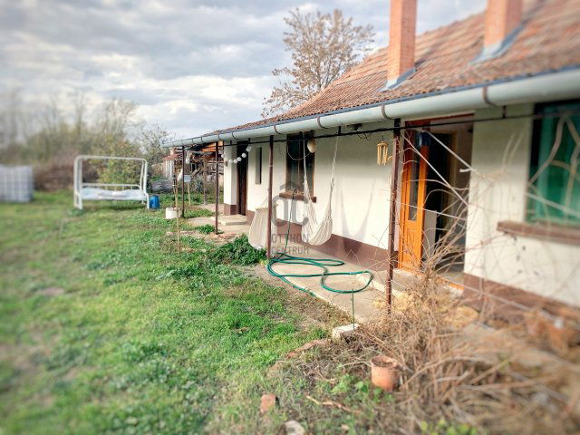 Eladó családi ház, Tiszajenőn 16.4 M Ft, 1 szobás