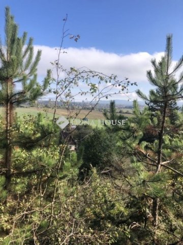 Eladó telek, Mogyorósbányán 5.5 M Ft / költözzbe.hu