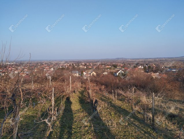 Eladó telek, Nyúlon 15 M Ft / költözzbe.hu