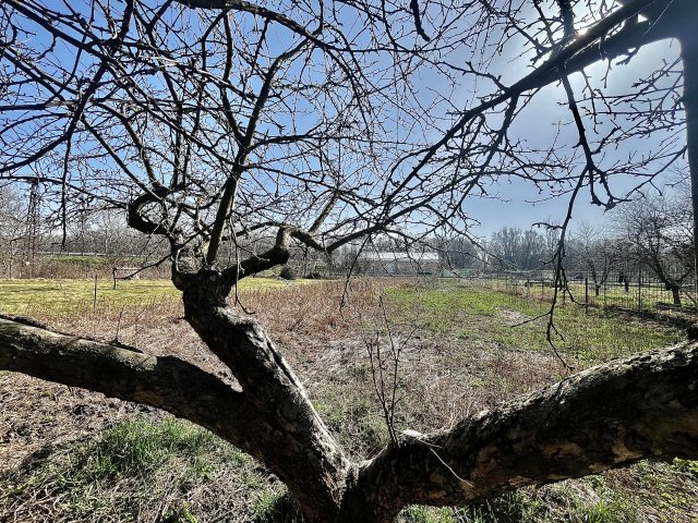 Eladó családi ház, Abdaon 59.9 M Ft, 4 szobás