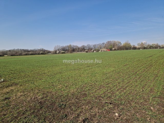 Eladó telek, Tárnokon 150 M Ft / költözzbe.hu