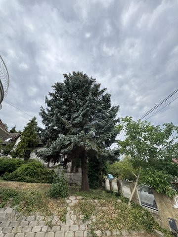 Eladó családi ház, Budapesten, II. kerületben 299.1 M Ft