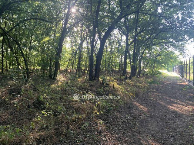 Eladó telek, Tápiószőlősön 3.9 M Ft / költözzbe.hu