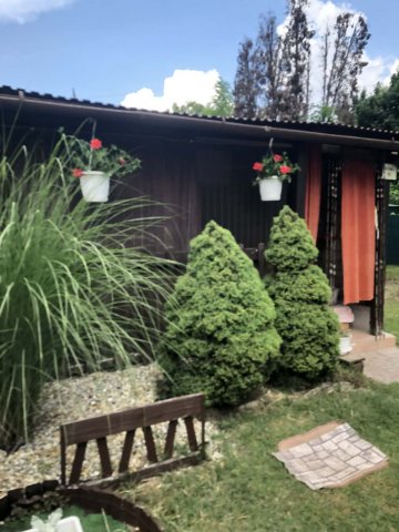 Eladó családi ház, Tóalmáson, Patak utcában 16 M Ft, 2 szobás