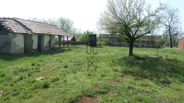 Eladó telek, Tiszacsegén 3.9 M Ft / költözzbe.hu