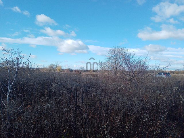 Eladó mezogazdasagi ingatlan, Szigethalmon 6.5 M Ft