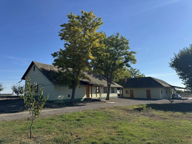 Eladó mezogazdasagi ingatlan, Makón 69.9 M Ft