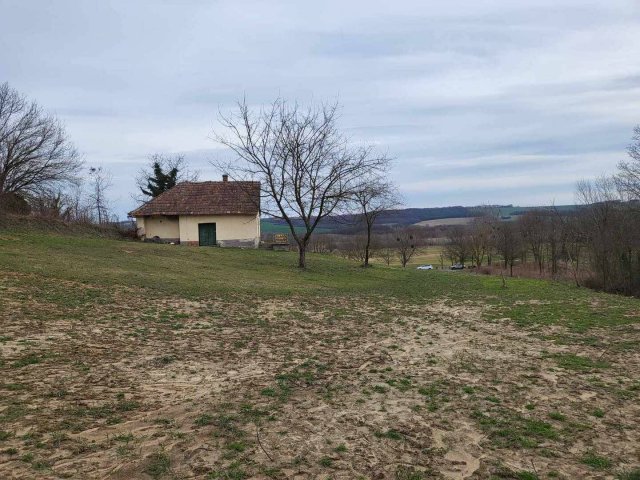 Eladó telek, Zalacsányon 15 M Ft / költözzbe.hu