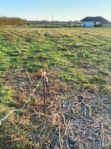 Eladó családi ház, Mikepércsen 129 M Ft, 3+1 szobás