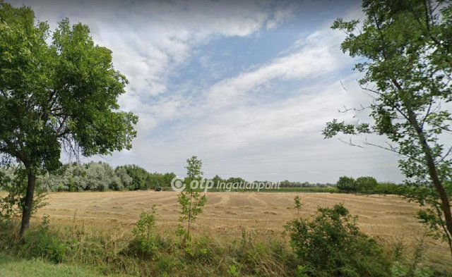 Eladó telek, Röszkén 5 M Ft / költözzbe.hu