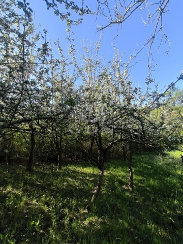 Eladó nyaraló, Nógrádon 9.99 M Ft, 1+1 szobás