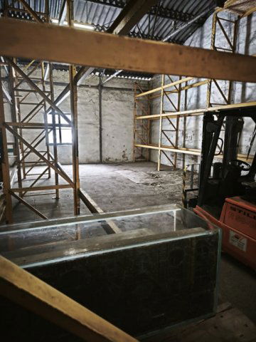 Kiadó ipari ingatlan, Budapesten, XIV. kerületben, Öv utcában