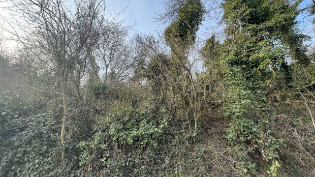 Eladó mezogazdasagi ingatlan, Nyúlon 16.9 M Ft