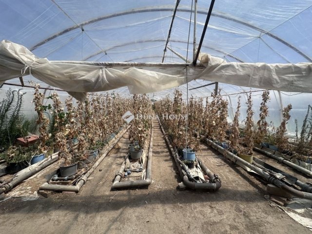 Eladó mezogazdasagi ingatlan, Szentesen 8 M Ft