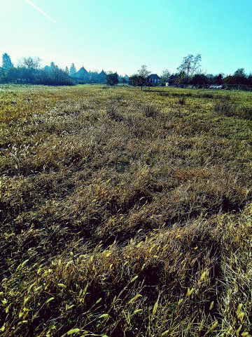Eladó telek, Tiszafüreden 14.5 M Ft / költözzbe.hu