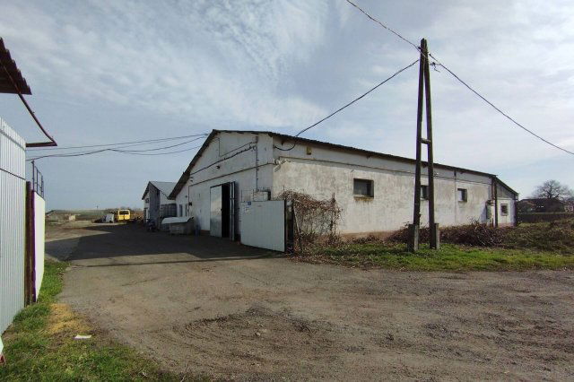 Eladó ipari ingatlan, Szabadkígyóson 135 M Ft