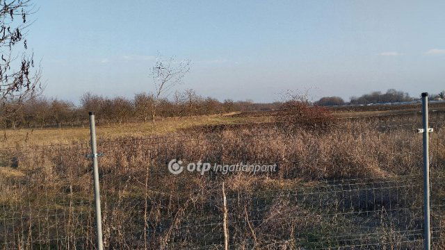 Eladó családi ház, Pusztamonostoron 26 M Ft, 1+1 szobás