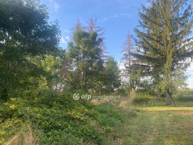 Eladó családi ház, Bébén 19.9 M Ft, 2 szobás