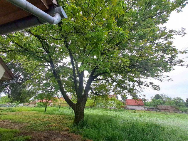 Eladó családi ház, Orosztonyon 35 M Ft, 4 szobás