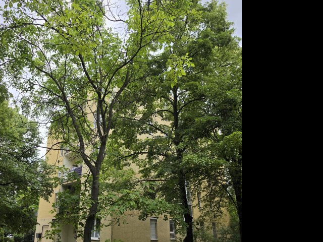 Eladó téglalakás, Diósdon 72 M Ft, 2 szobás