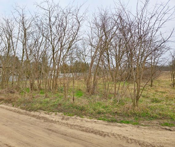 Eladó telek, Debrecenben 5.9 M Ft / költözzbe.hu