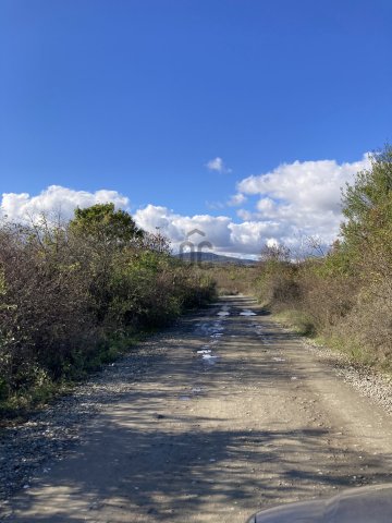 Eladó mezogazdasagi ingatlan, Szentendrén 5.5 M Ft