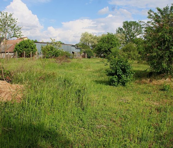 Eladó családi ház, Ráckevén 59.8 M Ft, 2 szobás