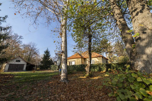 Eladó mezogazdasagi ingatlan, Kecskeméten 79 M Ft, 3 szobás