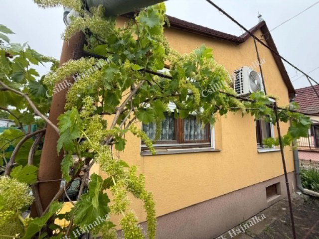 Eladó családi ház, Szolnokon 38 M Ft, 2 szobás