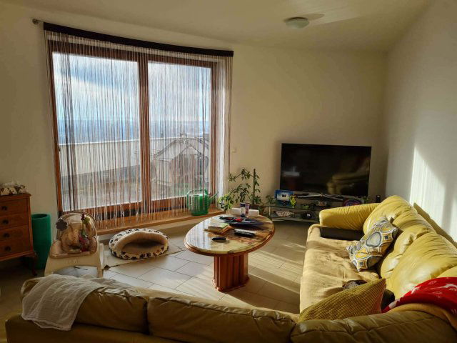 Kiadó téglalakás, albérlet, Pécsett 400 E Ft / hó, 4 szobás