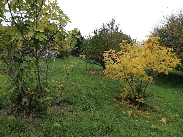 Eladó telek, Zalaegerszegen 10 M Ft / költözzbe.hu