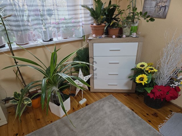 Eladó családi ház, Pécelen 104.9 M Ft, 4 szobás