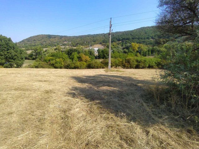 Eladó mezogazdasagi ingatlan, Verőcén 8.3 M Ft