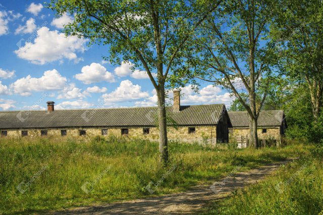 Eladó mezogazdasagi ingatlan, Bodajkon 95.25 M Ft