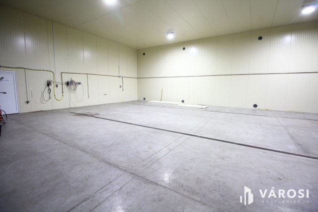 Kiadó ipari ingatlan, Hódmezővásárhelyen 945 E Ft / hó