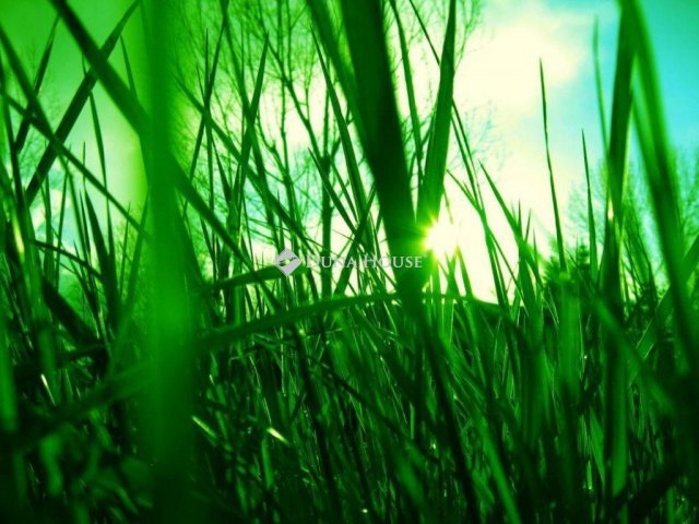 Eladó telek, Nyíregyházán, Kemecsei úton 10.5 M Ft