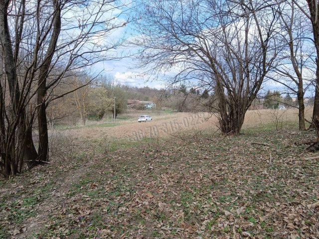 Eladó mezogazdasagi ingatlan, Pusztamagyaródon 8 M Ft