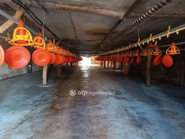 Eladó mezogazdasagi ingatlan, Csőszön 298 M Ft