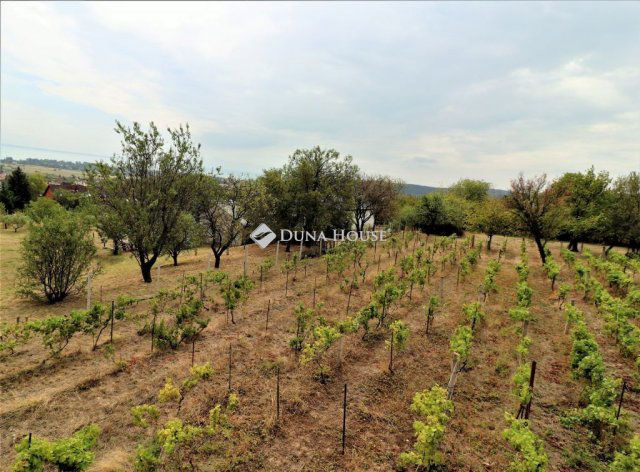 Eladó családi ház, Balatonalmádiban 230 M Ft, 3+1 szobás