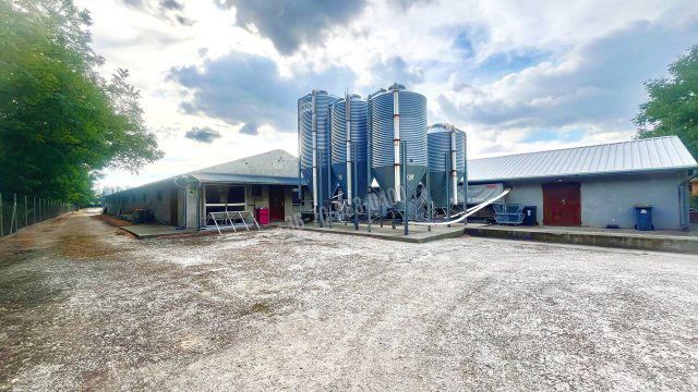 Eladó mezogazdasagi ingatlan, Dabason 150 M Ft