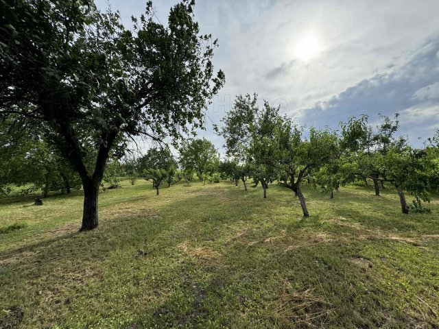 Eladó mezogazdasagi ingatlan, Etyeken 170 M Ft