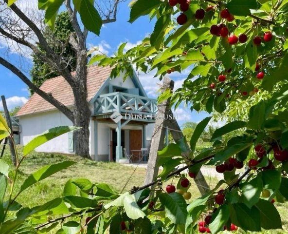 Eladó családi ház, Kisapátiban 56.99 M Ft, 1 szobás